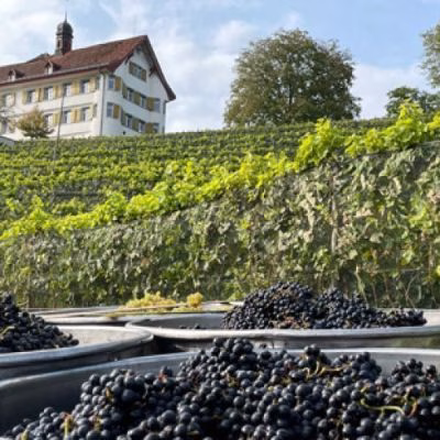 REBLÜT-SCHLOSSFEST MIT DEN REBLÜT VOM SCHLOSS DOTTENWIL 